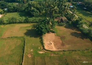 Faktor Utama Penentu Harga Tanah: Mengapa Lokasi Adalah Raja dalam Investasi Properti